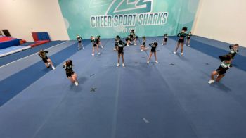 Cheer Sport Sharks - Ancaster - Harlequin [CC: L2 - U12] 2022 Varsity All Star Virtual Competition Series: FTP East