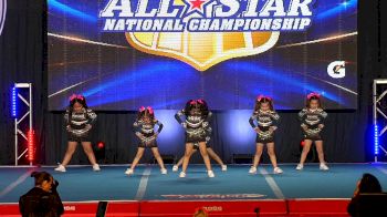 Primal Cheer Shadow Cats [2024 L1 Tiny - D2 Day 2] 2024 NCA All-Star National Championship