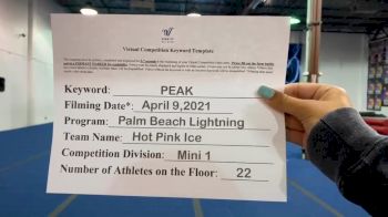 Palm Beach Lightning - Pink Ice [L1 Mini] 2021 The Regional Summit Virtual Championships