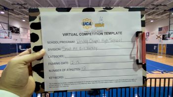 Wesley Chapel High School [Small Varsity] 2022 UCA & UDA December Virtual Regional