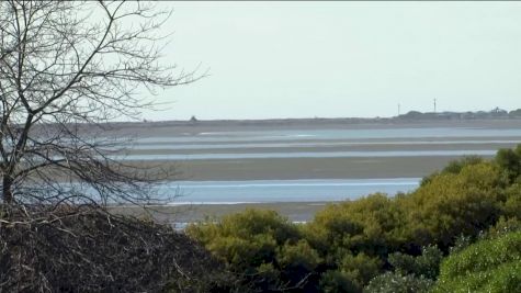 Replay: Tasman vs North Harbour | Aug 27 @ 2 AM