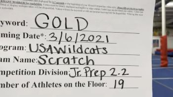 USA Wildcats [L2.2 Junior - PREP] 2021 Varsity Virtual Competition Series - Prep & Novice I