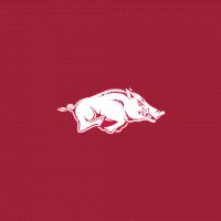 Arkansas Men's Basketball