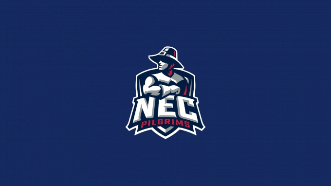 picture of New England College