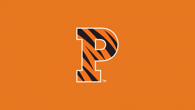 picture of Princeton Men's Volleyball