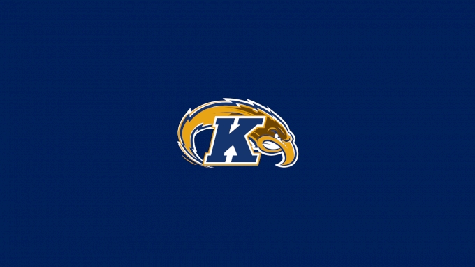 picture of Kent State Women's Gymnastics