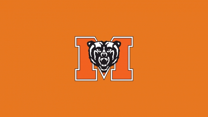 picture of Mercer