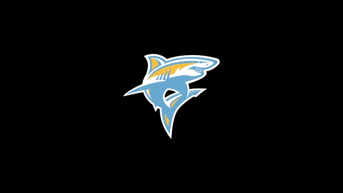 picture of Long Island University Women's Volleyball