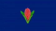 Lakapi Samoa