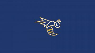 Emory & Henry College Football