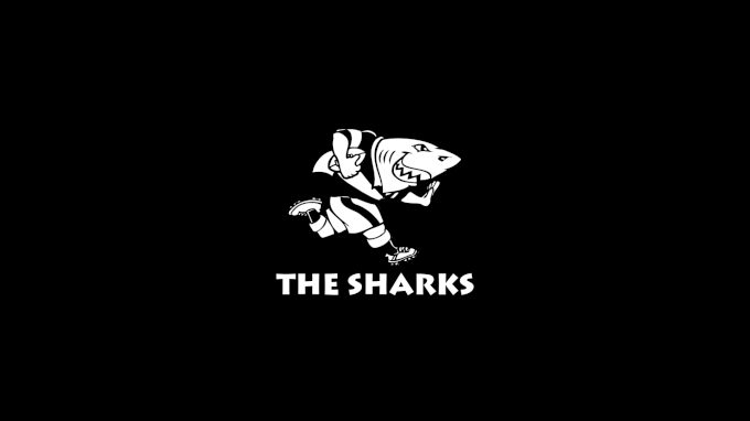 picture of Cell C Sharks
