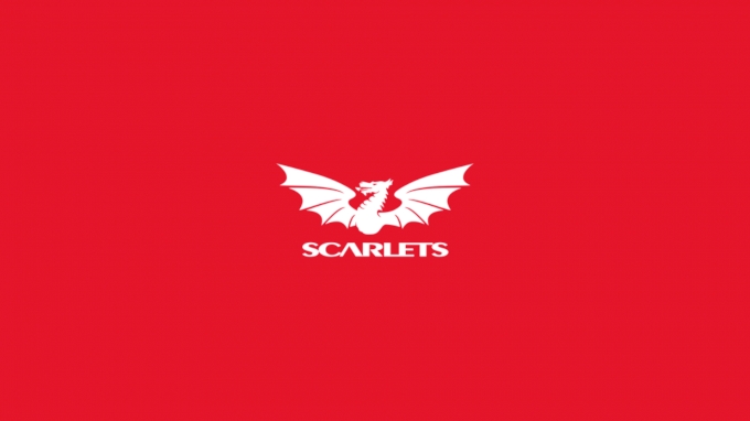 picture of Scarlets Rugby