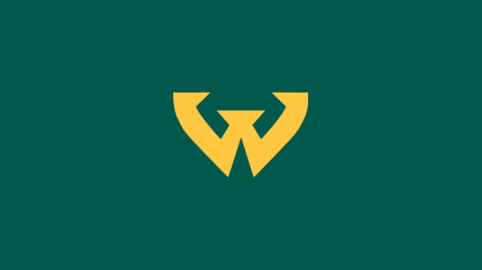 picture of Wayne State (MI)  Women's Volleyball