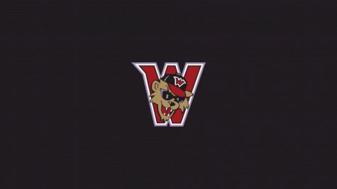 Washington Wild Things