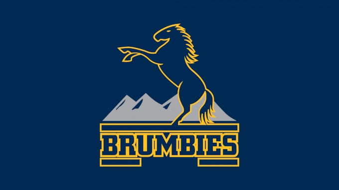 picture of Brumbies Men's Rugby