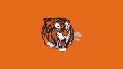 Medicine Hat Tigers