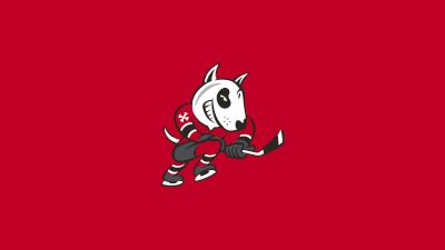 Niagara IceDogs