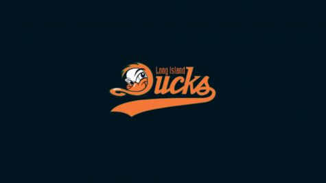 Long Island Ducks Baseball
