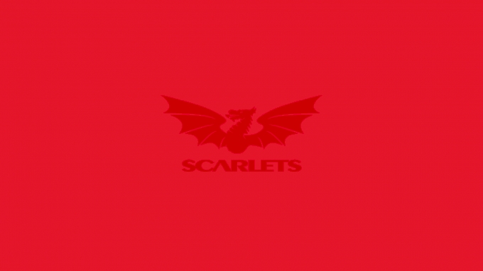 picture of Scarlets Rugby