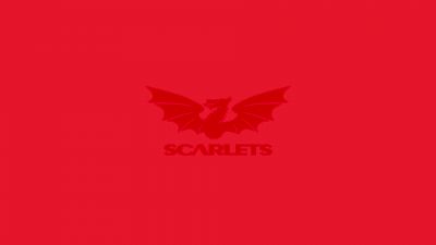 Scarlets Rugby