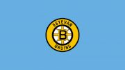 Estevan Bruins