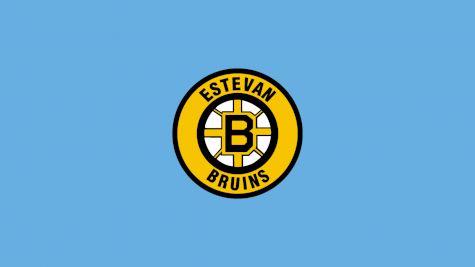 Estevan Bruins