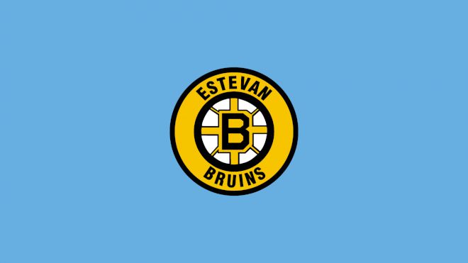 Estevan Bruins