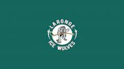La Ronge Ice Wolves