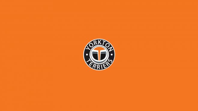Yorkton Terriers