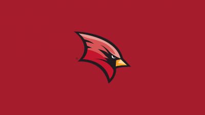 Saginaw Valley  Men's Soccer