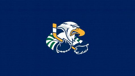 Surrey Eagles
