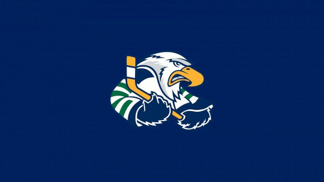Surrey Eagles