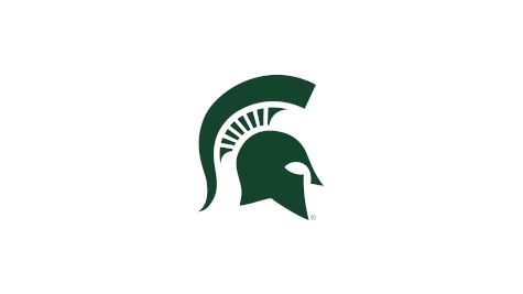 D2 Michigan State Men's Club Hockey