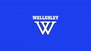 Wellesley College Women's Volleyball