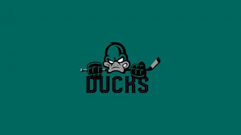 Dells Ducks (Premier)