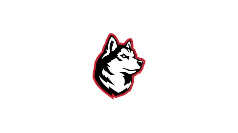 Northeastern Women's Volleyball