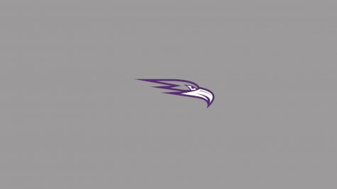 Ozarks (AR) Baseball