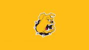 Texas Lutheran Baseball