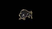 Harding University Men's Basketball