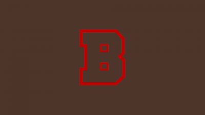 Brown Baseball