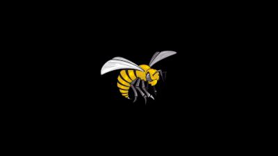 Alabama State Football