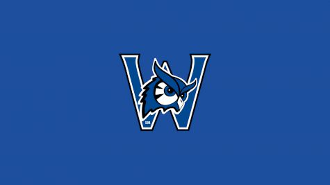 Westfield State Men's Basketball
