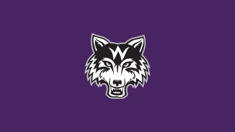 Wesleyan (GA) Men's Basketball