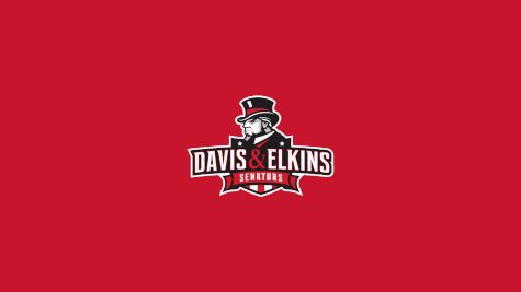 Davis & Elkins Men's Basketball