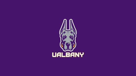 UAlbany Men's Lacrosse