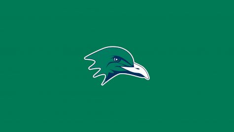 Endicott College Men's Basketball