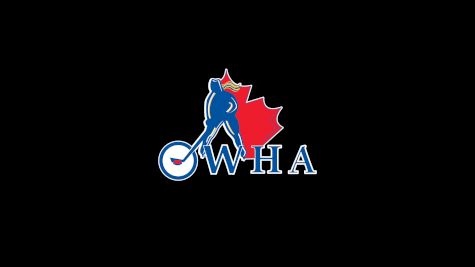 Stoney Creek Sabres U22 AA (G)