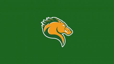 Marywood Men's Swimming