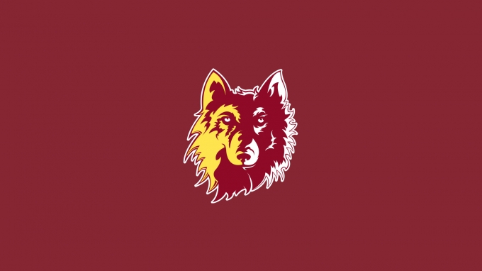 Team logo