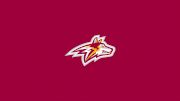 Alvernia University Women's Basketball